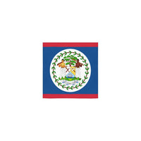 Belize Flag Square Towel 13“x13” - Conscious Apparel Store